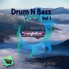 Drum N Bass Vocal (Best Of DnB Vocal 2010s) (Mixed By DJ Revitalise) Vol 1