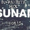 [Mix Tsunami]-[Regueton,Electro,Cumbia] - [Dj Pandita Mix]-[Vol 15]