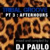 DJ PAULO-TRIBAL GROOVE Pt 3 (AFTERHOURS) Summer 2018