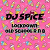 DJ SPICE - Old School RnB & Hip Hip Lockdown Mix