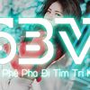 Việt Mix - Lá Xa Lìa Cành Remix - bánh Mỳ Không , Sai lầm Của Anh remix