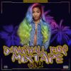 Dj Streetblaze Dancehall Fire Sn 2 Mixtape