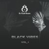 DJ Bura - Black Vibes Vol 1 Hip Hop Mix