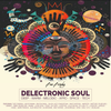 Delectronic Soul - Deep Space - A Deep House Blend of Warm, Melodic, Afro, Space Tech