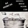 Soulful house water #30 by Dj Osiruss