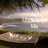 DJ HUSKY - リラックスしてる時に聞きたい Middle Tempo Mix -