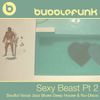 Sexy Beast | Part 2 | Soulful Vocal Jazz Blues Funky Deep House & Nu-Disco