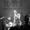 Toots and the Maytals - Jazz Workshop Boston 1976