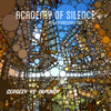 Academy Of Silence (aka Ponaroshku mix) - Sergeev vs Sapunov