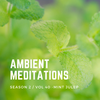 Ambient Meditations Season 2 - Vol 40 - Mint Julep