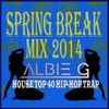 Spring Break Mix 2014 - AlbieG