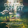 MiM - Digital Forest 2017 open-air dj set