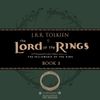 Ch.10 - Strider, The Fellowship of The Rings, The Lord of The Rings Audiobook Project (2018)