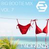 Big Bootie Mix, Volume 7 - Two Friends