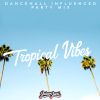 Tropical Vibes (Live) - A Dancehall Influenced Party Mix by Jason Jani