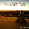 Deep House Cover Vol.1 by Salvo Migliorini