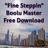 Fine Steppin Boolu R&B/Steppin Radio Mix Free Download Click Here