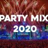 2020 Party End-Of-Year Mix