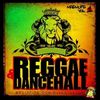 Bballjonesin - Ragga Vibes Vol 5 - Reggae Dancehall Classics