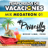 Dj Priscilla Reef - Megatron 01 (Temp. de Vacaciones SuperMezclas 2019) Megamixes SuperMezclas Vol1