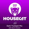 Deep House Cat Show - Dark Trumpet Mix - with Alex B. Groove