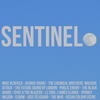 Sentinel. Eclectic beats and breaks with added guitar