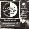 Yves De Ruyter & Franky Kloeck at Cherry Moon (Lokeren - Belgium) - 16 April 1994