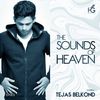 The sounds of Heaven EP003 - Tejas Belkond