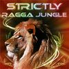 DJ STP STRICTLY RAGGA JUNGLE RADIO 001 www.strictlyraggajungle.com