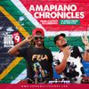 The Vibe Room Vol. 9 - Amapiano Chronicles - From Classics to Currents