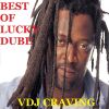BEST OF LUCKY DUBE TRIBUTE MIX,DIFFERENT COLORS,REGGAE STRONG,SLAVE,IM A PRISONER