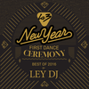 Best Of 2016 by Ley DJ