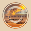 Organic House/Downtempo Mix Vol 27
