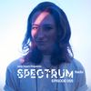 Joris Voorn Presents: Spectrum Radio 055