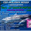 THE DOLPHIN MIXES - VARIOUS ARTISTS - ''80's - 12'' DANCE-POP HITS'' (VOLUME 12)