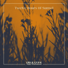 Twelve Hours Of Sunset / Folk Funk & Trippy Troubadours