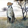 Mistah Cheetah - Good Vibes vol. 2 (Cant hold me down )