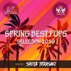 SPRING BEST POPS SELECTION 2019 Mixed By DJ SHOTA TERASAKI