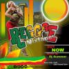 Roots Reggea Mix part1- DjSummer