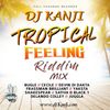 Tropical Feelings Riddim Mix 2018 (DJ Kanji)