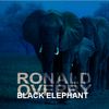 Ronald Overby AKA BLACK ELEPHANT -  AFRO HOUSE MIX for VA 07 12 2023
