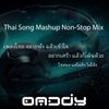 Thai Song Mashup 2021 ไทย อยากเศร้า แล้วเต็นด้วย Non-Stop Mix By Dj Oaddy