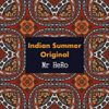 Indian Summer (Original Mix) Mr HeRo
