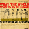 What the World Wants Is Reggae: Seven Inch Sides