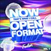 NOW That's What I Call Open Format! Vol. 1
