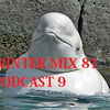 Winter Mix 81 - Podcast 9 (June 2016)