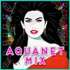 DJ ZAPP'S: AQUANET MIX (Vol.2) [Freestyle, Electro Funk & HI-NRG Disco]