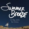 DJ Big Jacks x Aritzia - Summer Breeze