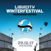 Liquicity Winterfestival 2017 Mix