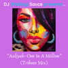 Aaliyah-One In A Million (Tribute Mix)